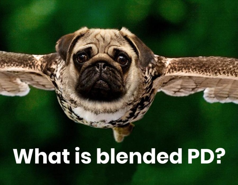 Picture of owl and pug hybrid with text: What is blended PD?